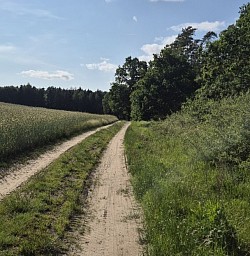 halt auch Graveln