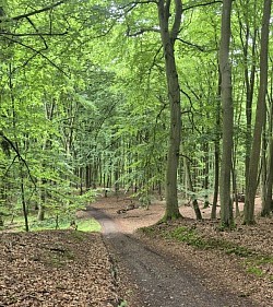 natur pur
