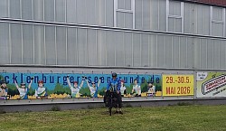 MSR die 12. lässt grüssen