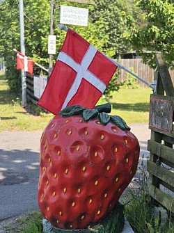 Dansk