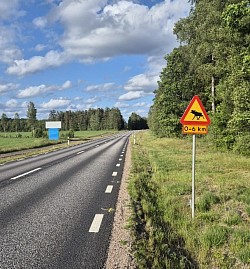 noch kein Elch gesehen