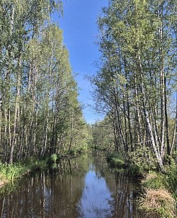 Schwedens Natur