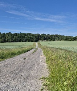 viel Schotterwege