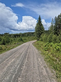 und endlich die wege