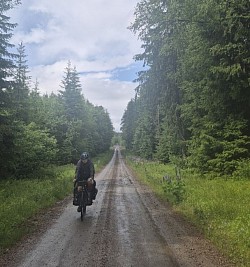 Regen und Waldweg