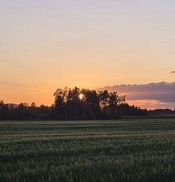 Sonnenuntergang
